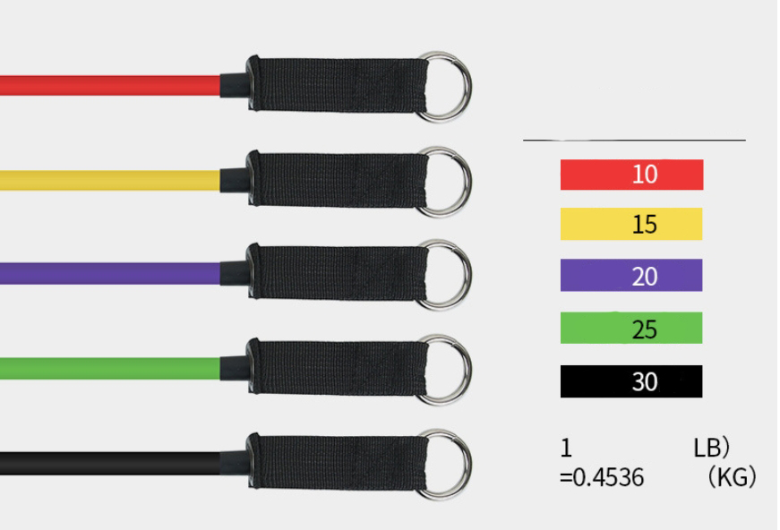 day ngu sac-450k (1)